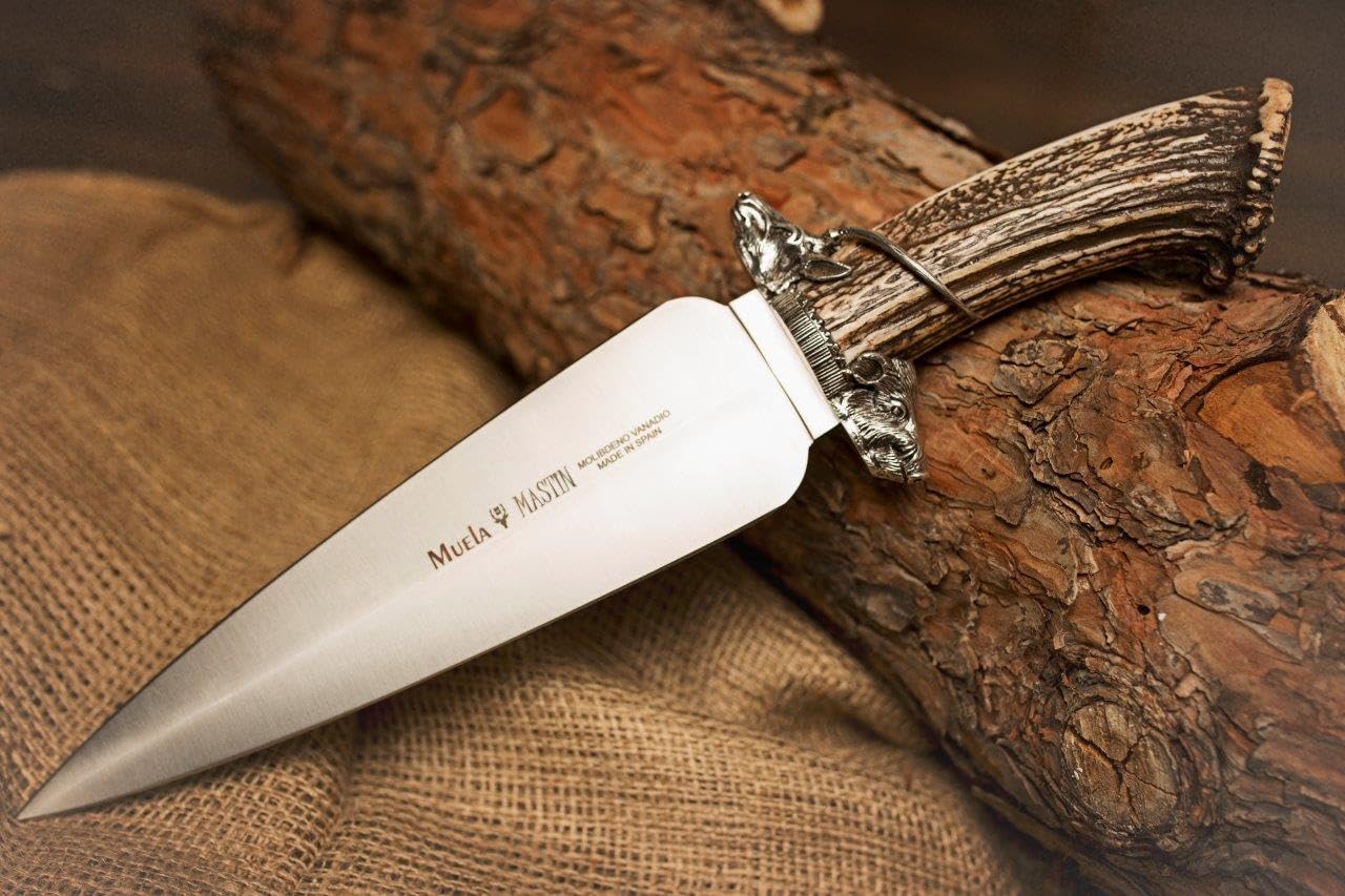 ELECTROPOLIS Cuchillo de remate Muela Mastin MASTIN.E, puño con asta de Ciervo, Hoja de Acero Inoxidable MOVA de 24,5 cm, presentación en Estuche de Madera + Tarjeta Multiusos de Regalo