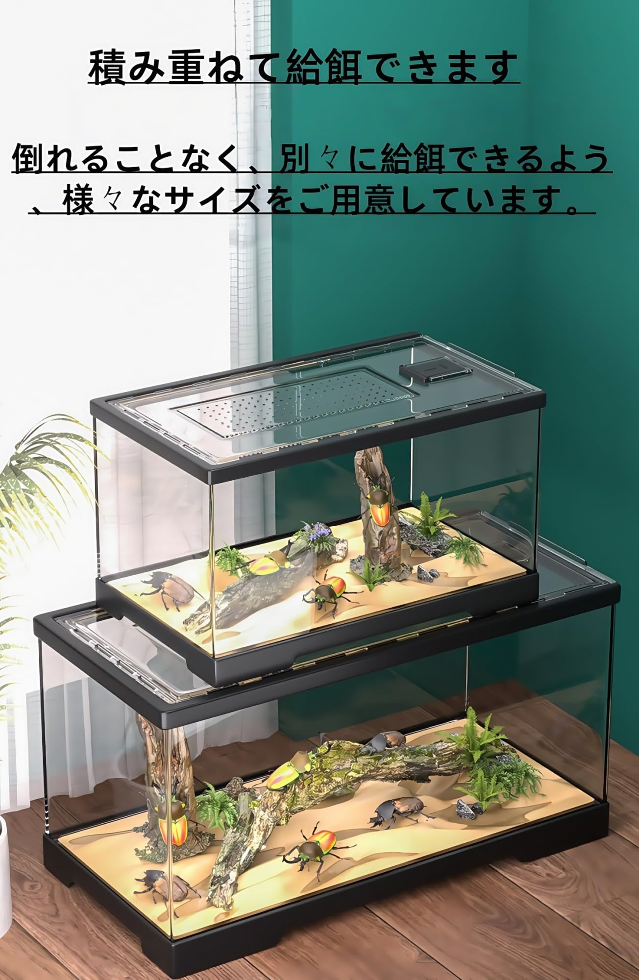 Amazon | 大型60cmレオパ ケージ 爬虫類 ケース ヒョウモン