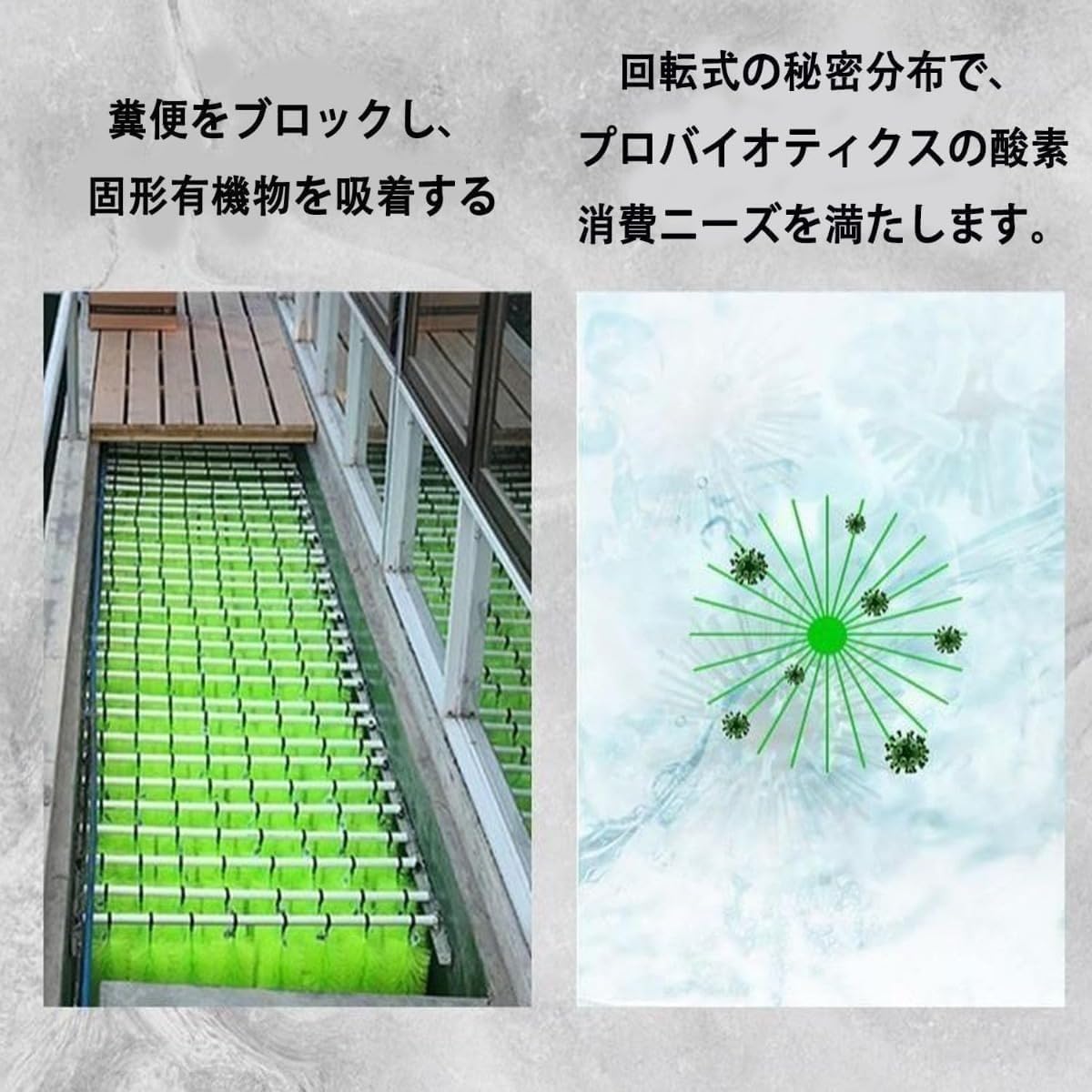 304ステンレス製 ロールフィルター ブラシ型ろ材 50本セット（耐久性・高効率濾過）熱帯魚/メダカ/海水魚/金魚 水槽対応 外部フ