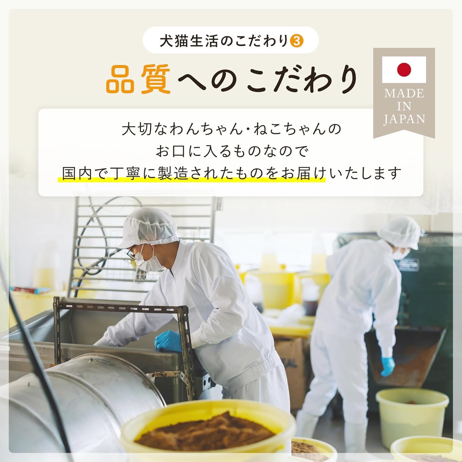 Amazon | [犬猫生活] 福袋 猫ちゃん 豪華セット (1箱) | デンタル