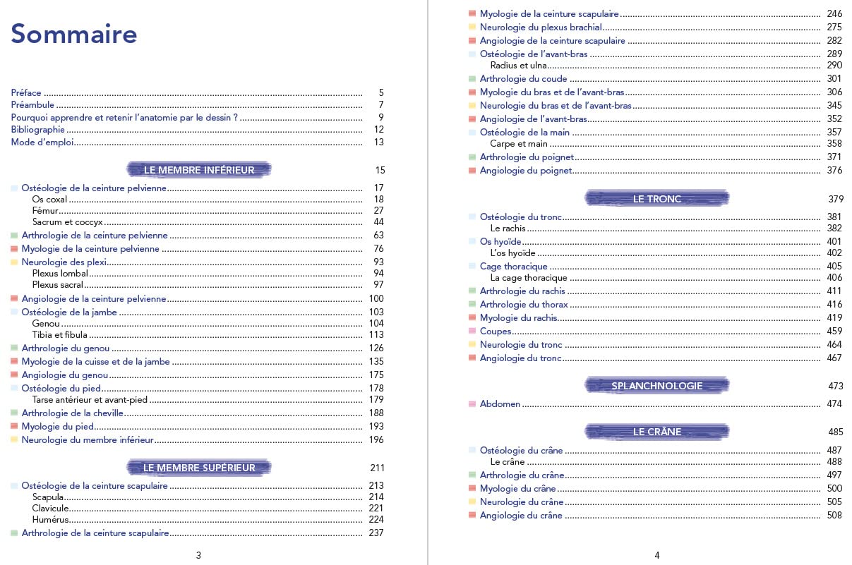 Toute l’anatomie humaine par le dessin: Plus de 220 dessins pour apprendre activement !
