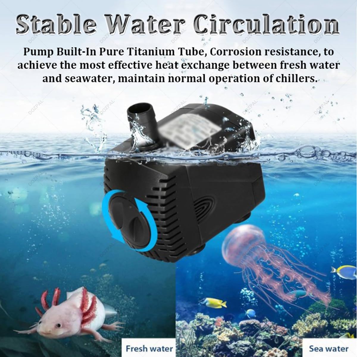 Refroidisseur d'eau pour aquarium eau douce et eau salée, réglable, avec télécommande tactile, convient pour axolotl et récif corallien