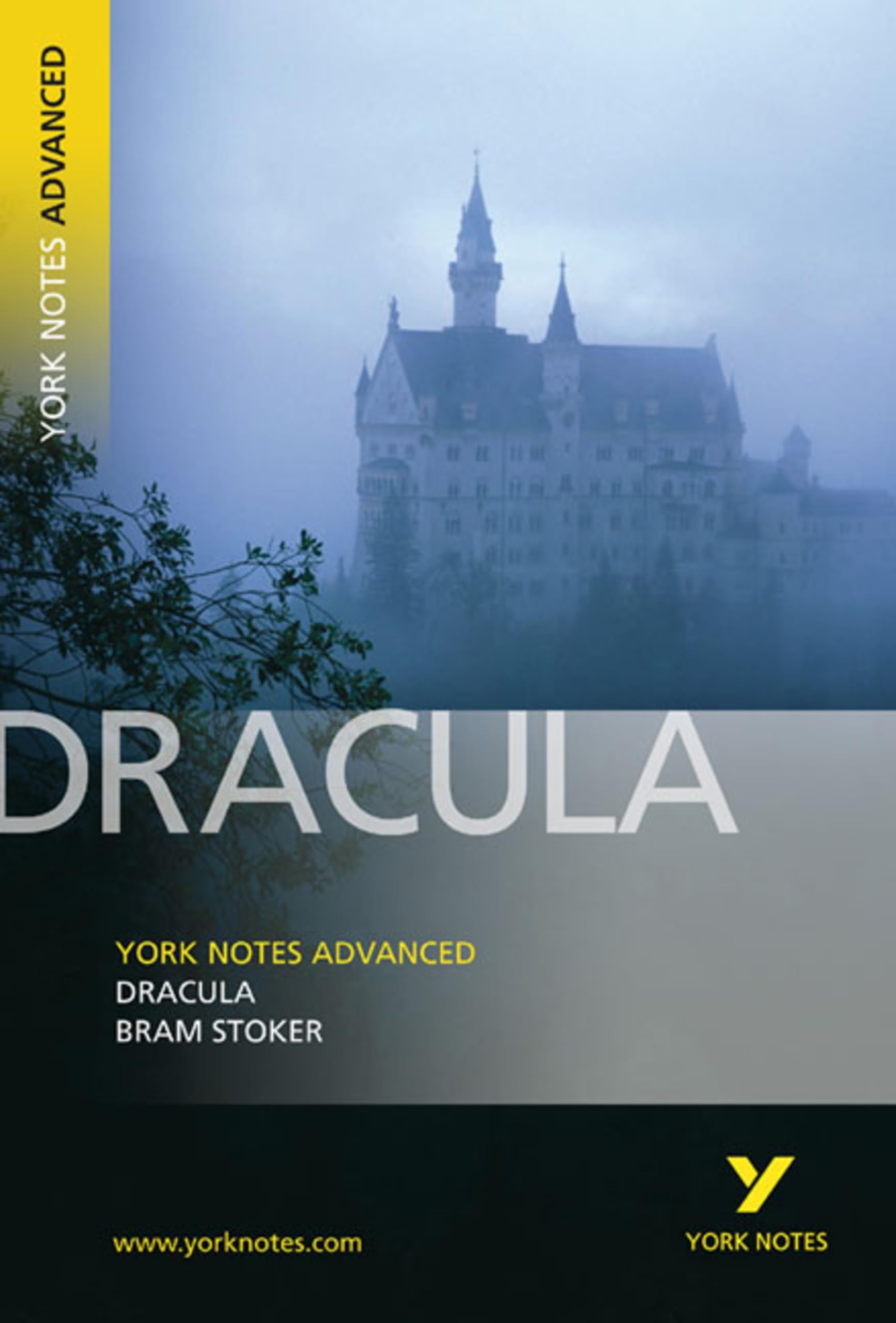 Longman Dracula: York Notes Advanced: everything you need to catch up, study and prepare for 2021 assessments and 2022 exams