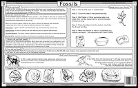 Vista 2 de Mantel individual de fósiles