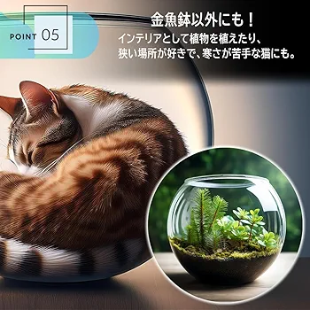 Amazon | アクリル水槽 金魚鉢 メダカ用 プラスチック 透明
