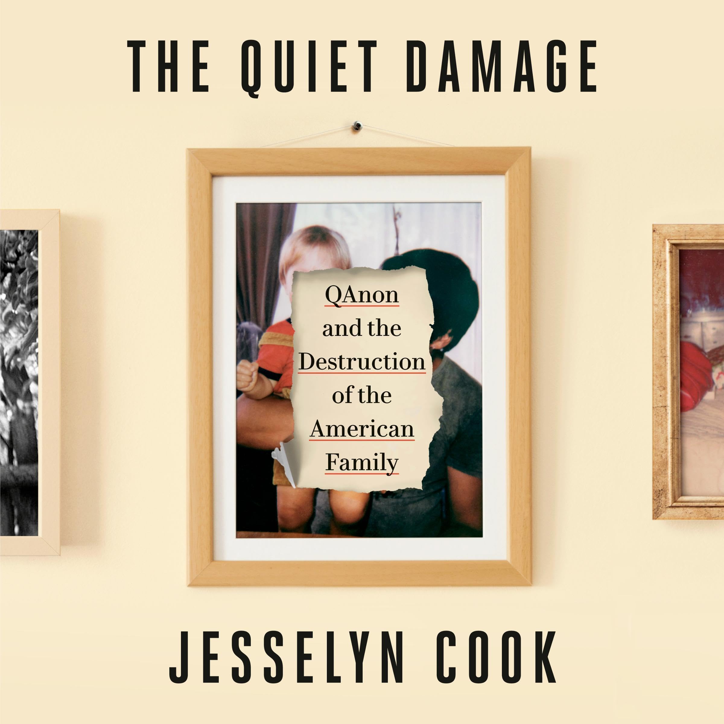 Cover art for The Quiet Damage