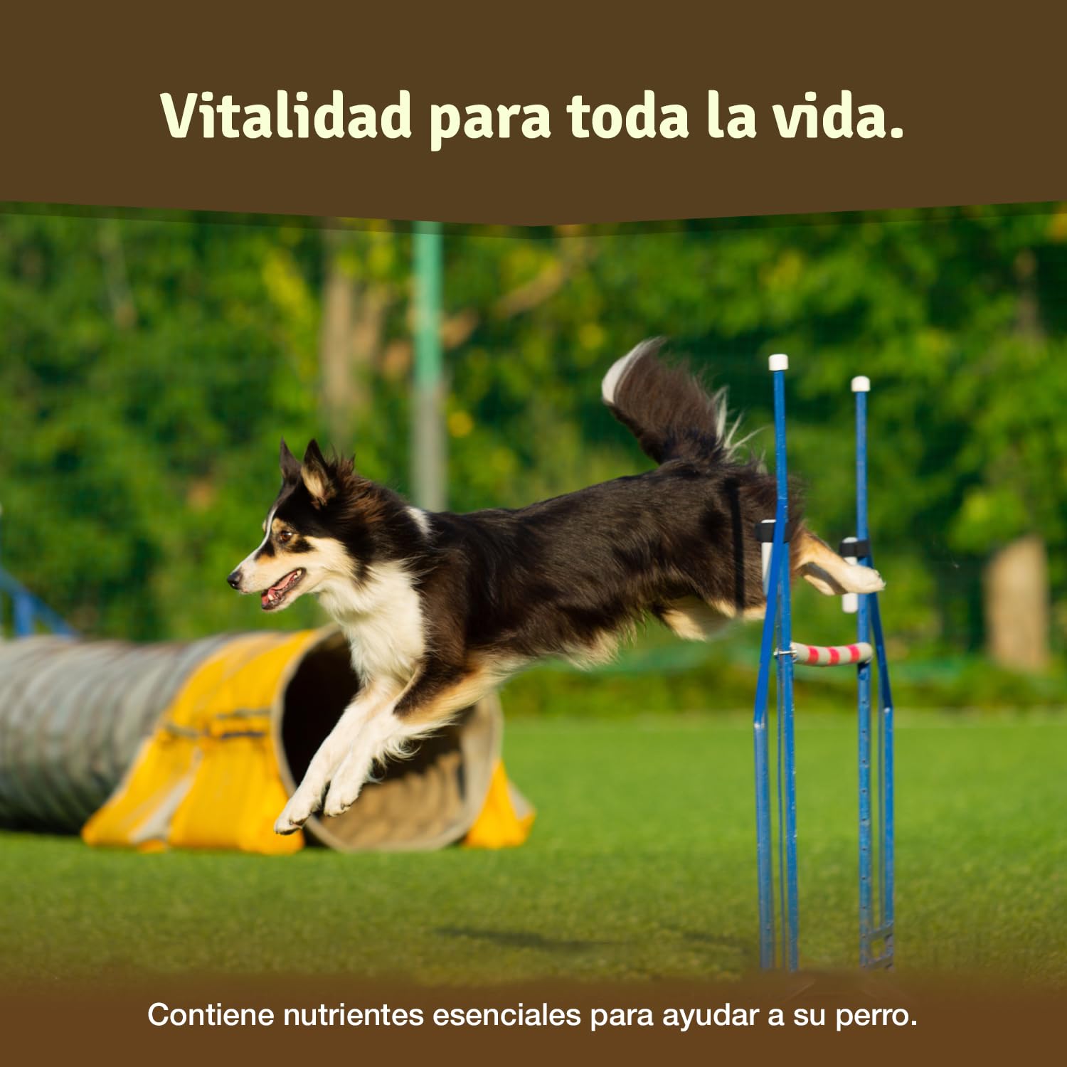 Veddelholzer condroprotector glucosamina MSM colágeno hialurón 125 cápsulas perros articulaciones