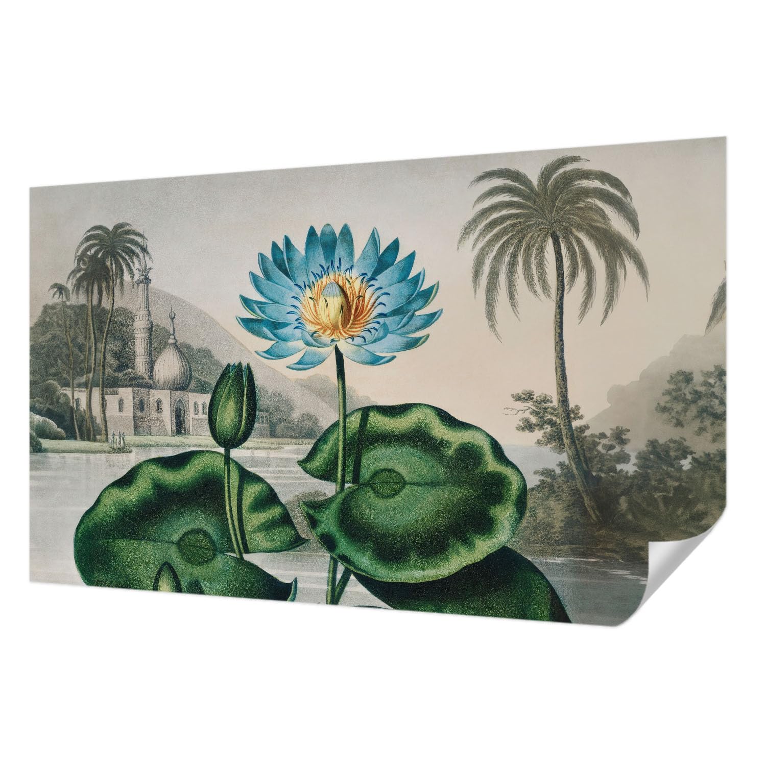 Papier peint panoramique 416x254 cm lavable et résistant aux taches