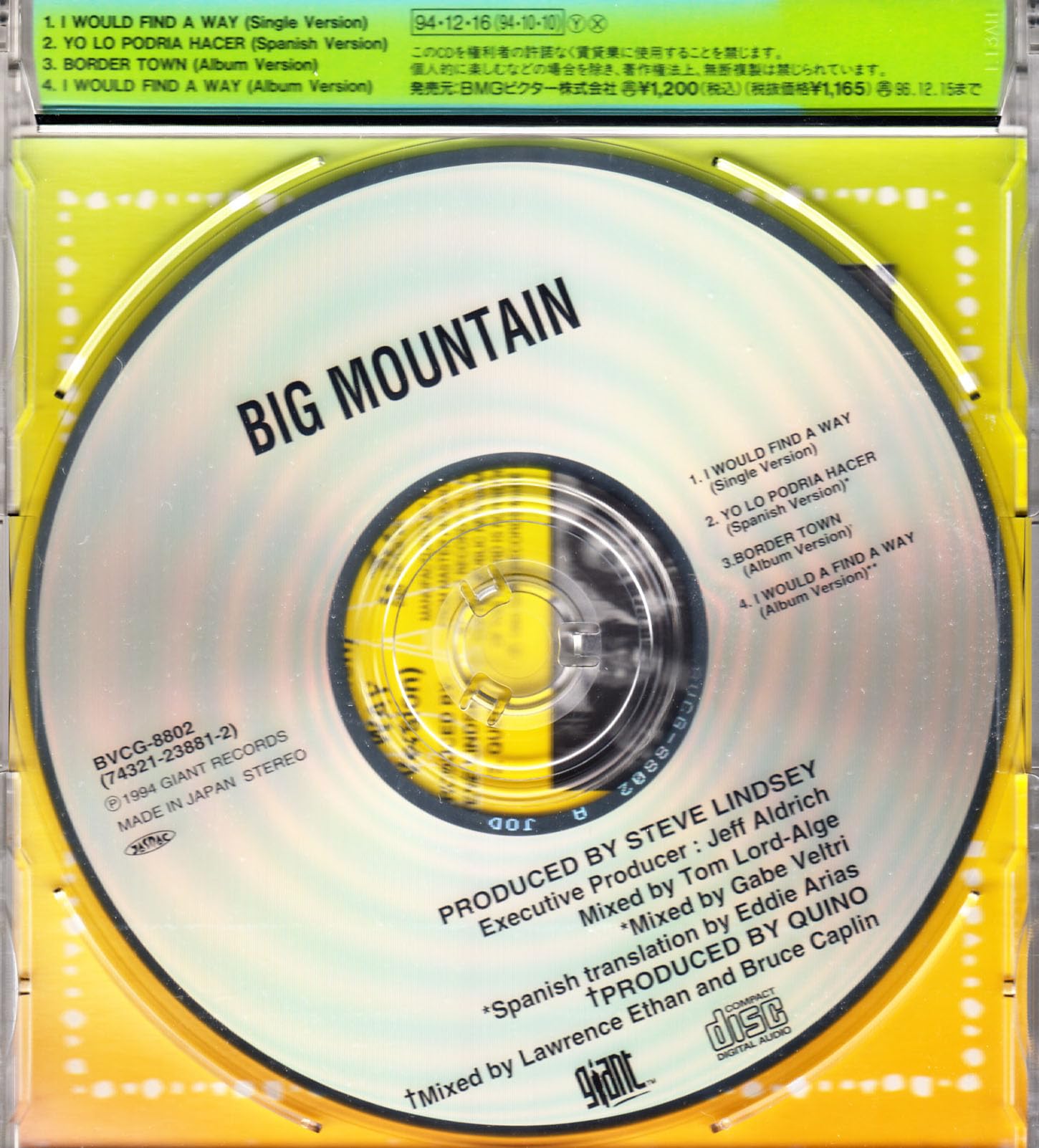 BIG MOUNTAIN - I Would Find A Way - Disque CD