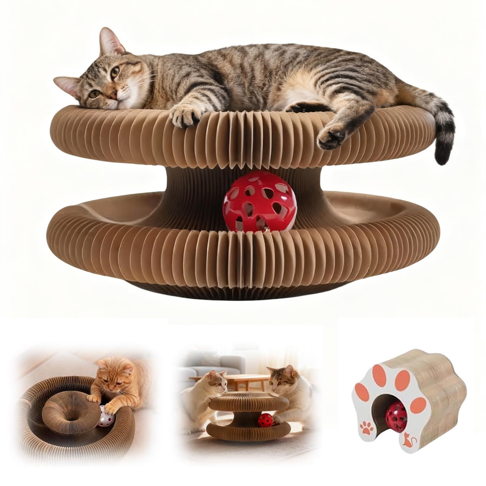 Amazon.com: Twisty Paws Cat Toy, 2026 New Extra-Thick & Large Cat
