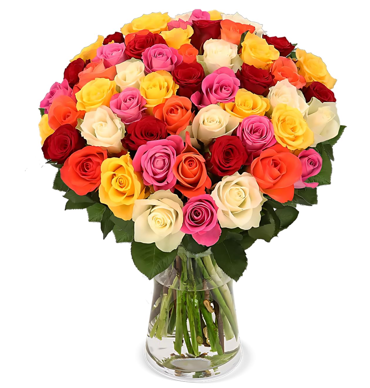 Blume Ideal Rosenstrauß | 20 Bunte Rosen | Ø 40–50 cm | Echte Premium Rosen für Hochzeit & Deko | 7 Tage Frischegarantie | In verschiedenen Farben und Mengen