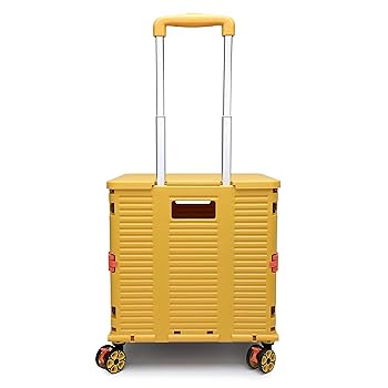 今週迄SALE送料込み、！2枚入れ可能！数回使用のみ　ロングボード　ハード Amazon｜［BAGING バギング］横押し ショッピングカート