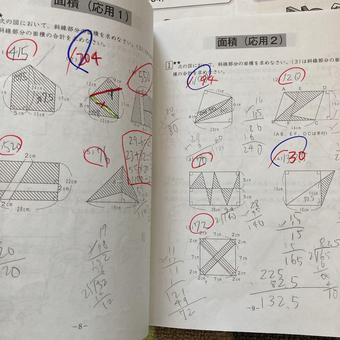 Amazon.co.jp: SAPIX 小学5年算数 デイリーサピックス510-0111