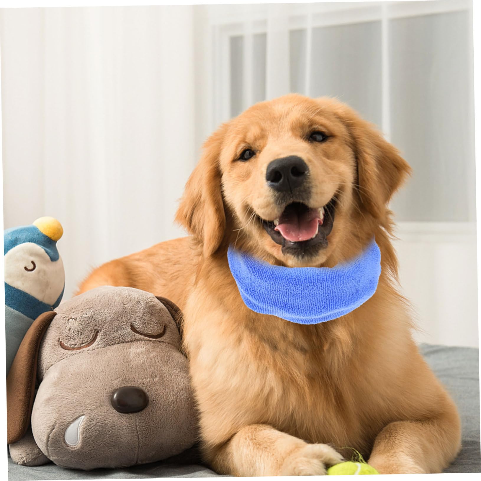 Beaupretty 4 Piezas Orejeras para Perros y Gatos Orejeras Elásticas para Perros Cómodas Orejeras para Cachorros Envoltura De Cabeza De Perro Mascota Gatos y Perros Multifunción Franela