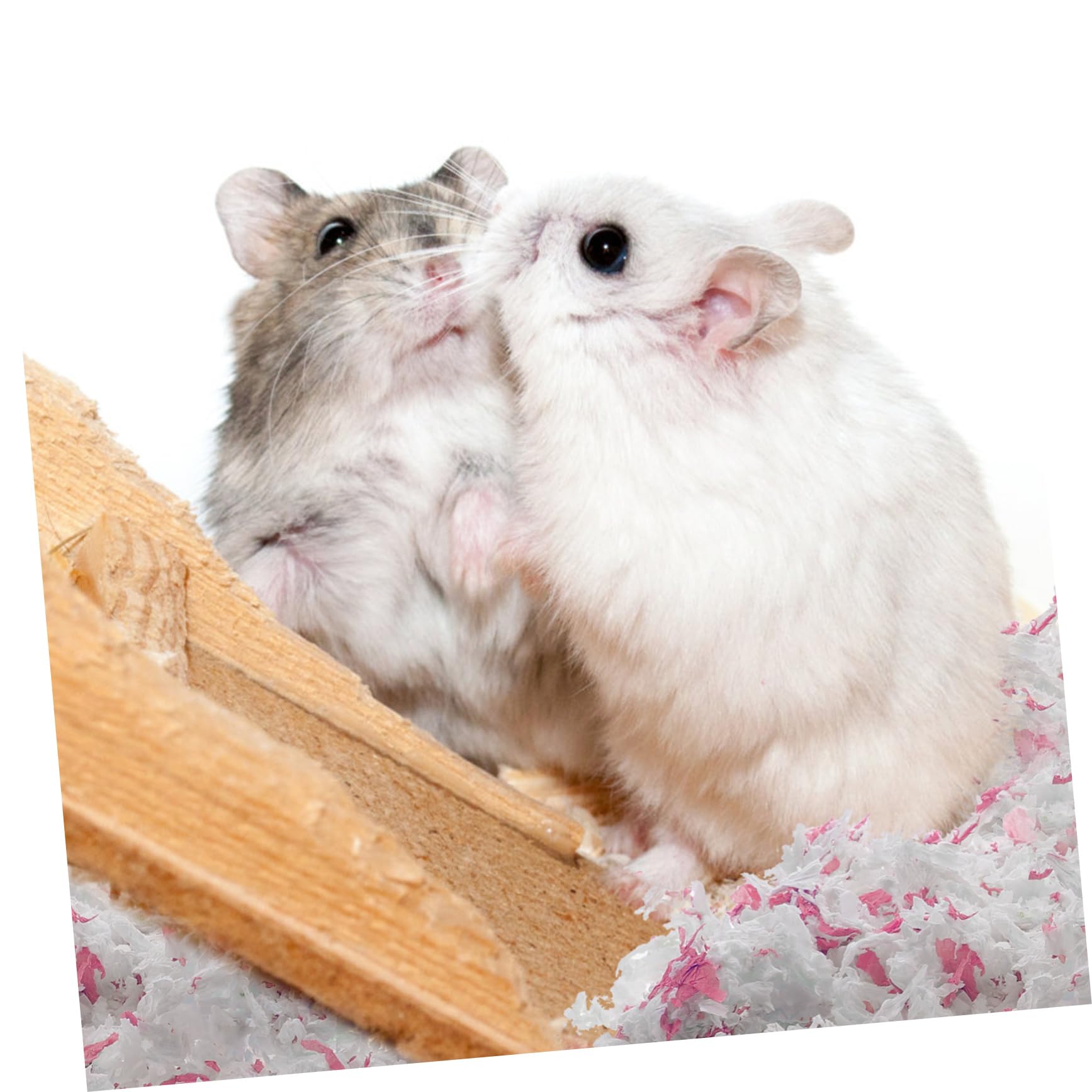 Lettiera in Carta Bianca 450g per Cincillà e Gerbilli, Morbida e Calda, Assorbente e Antiodore per Gabbie per Piccoli Animali