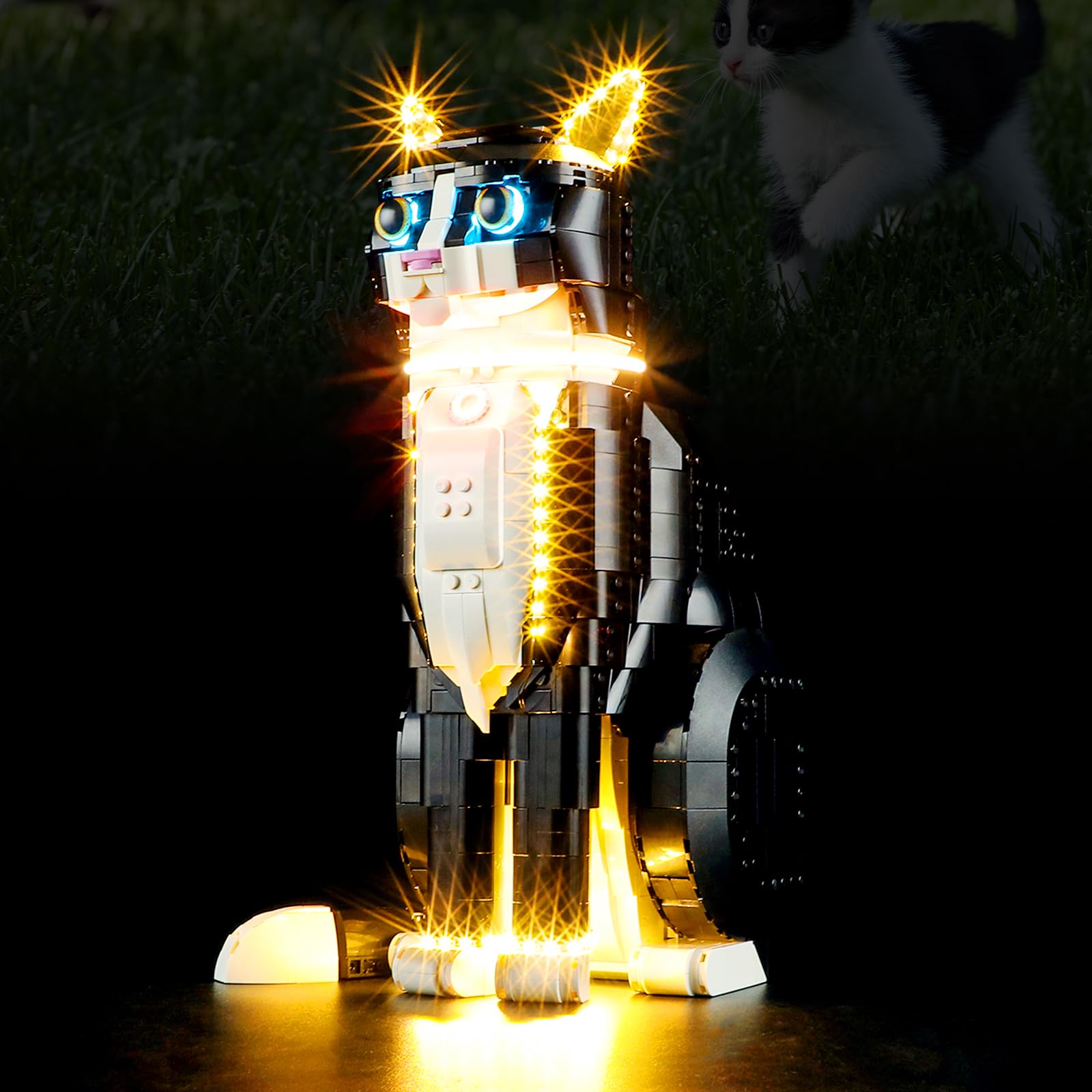 BOOZUU Light Kit for Lego-21349 Tuxedo Cat - Lighting Compatible with Lego Ideas Tuxedo Cat 21349 Building Set for Adults (Lights Only, No Lego Set)
