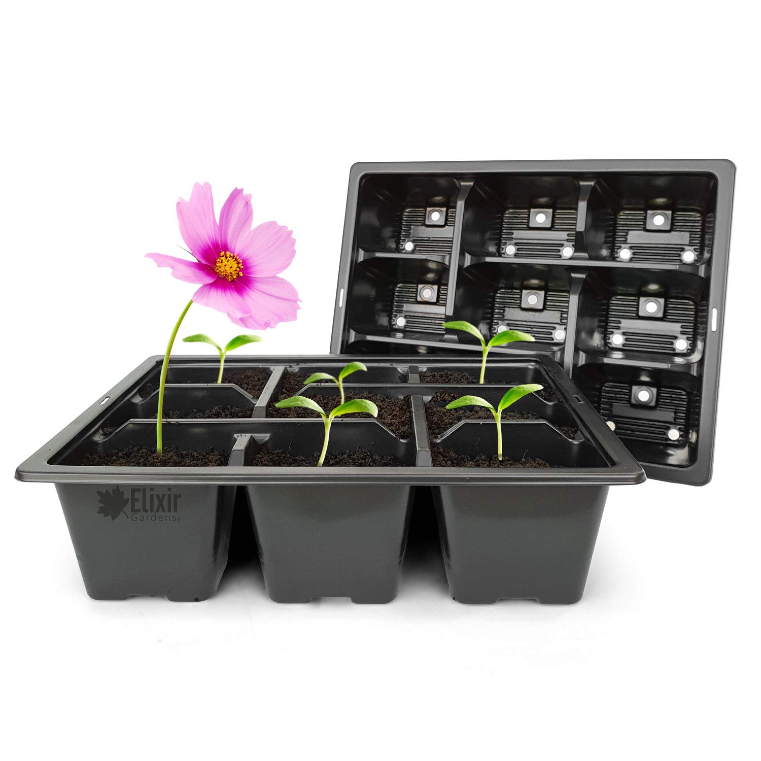 Elixir Gardens Reusable 9 Cell Bedding Plant Pack Inserts for Half Size Seedling Germination Propagator Trays | Various qty available from 2 to 400 | x2