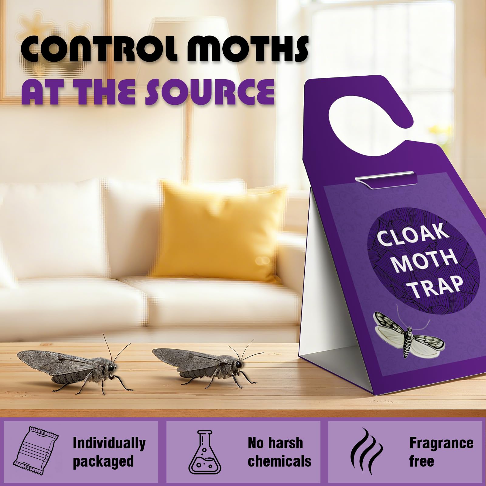 View 7