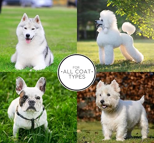 Miniatura 6 de Chris Christensen Paquete de champú y acondicionador de 16 onzas, acondicionador diario + champú de avena día a día + champú blanco sobre blanco,