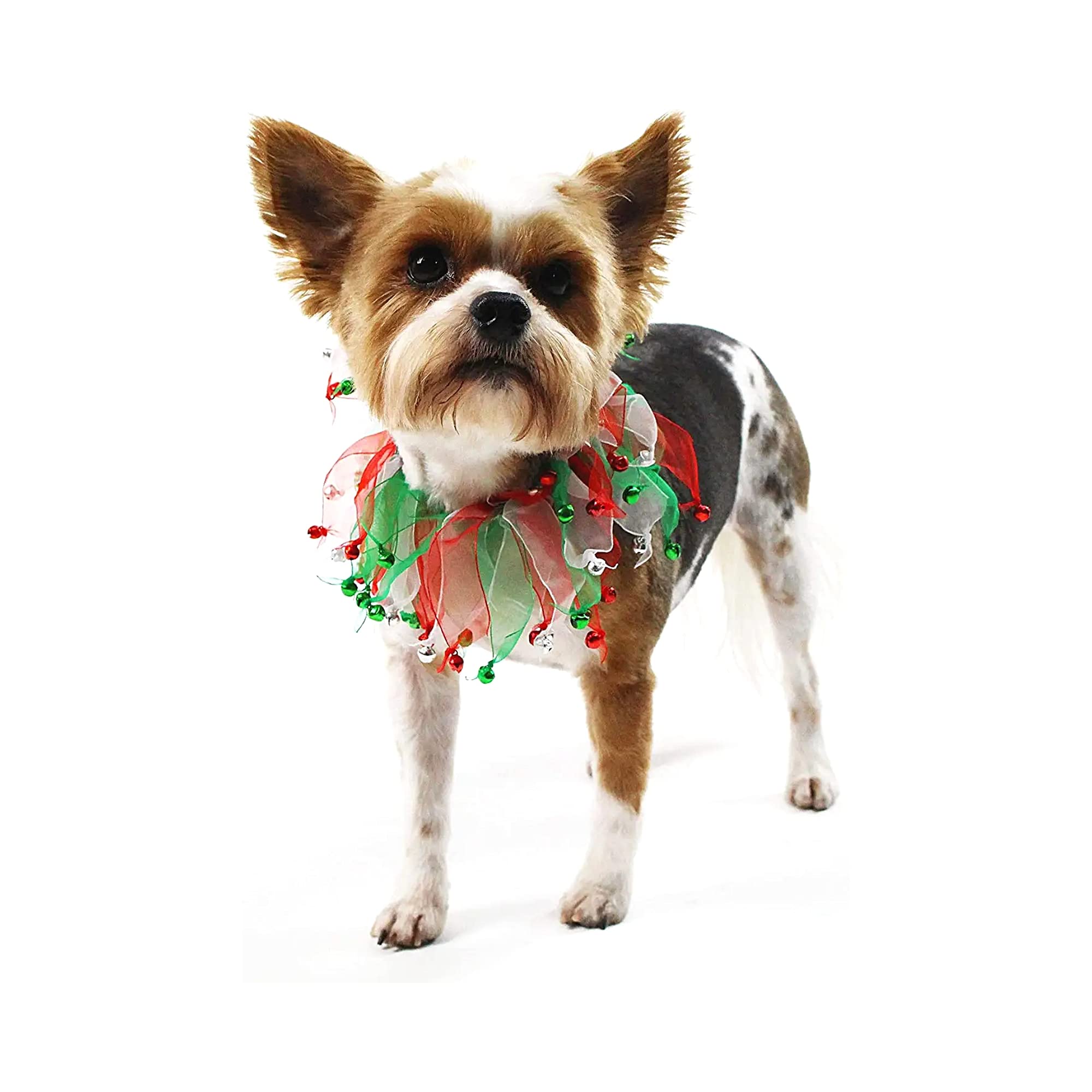Midlee Christmas Jingle Bells Decorative Dog Collar (X-Large)