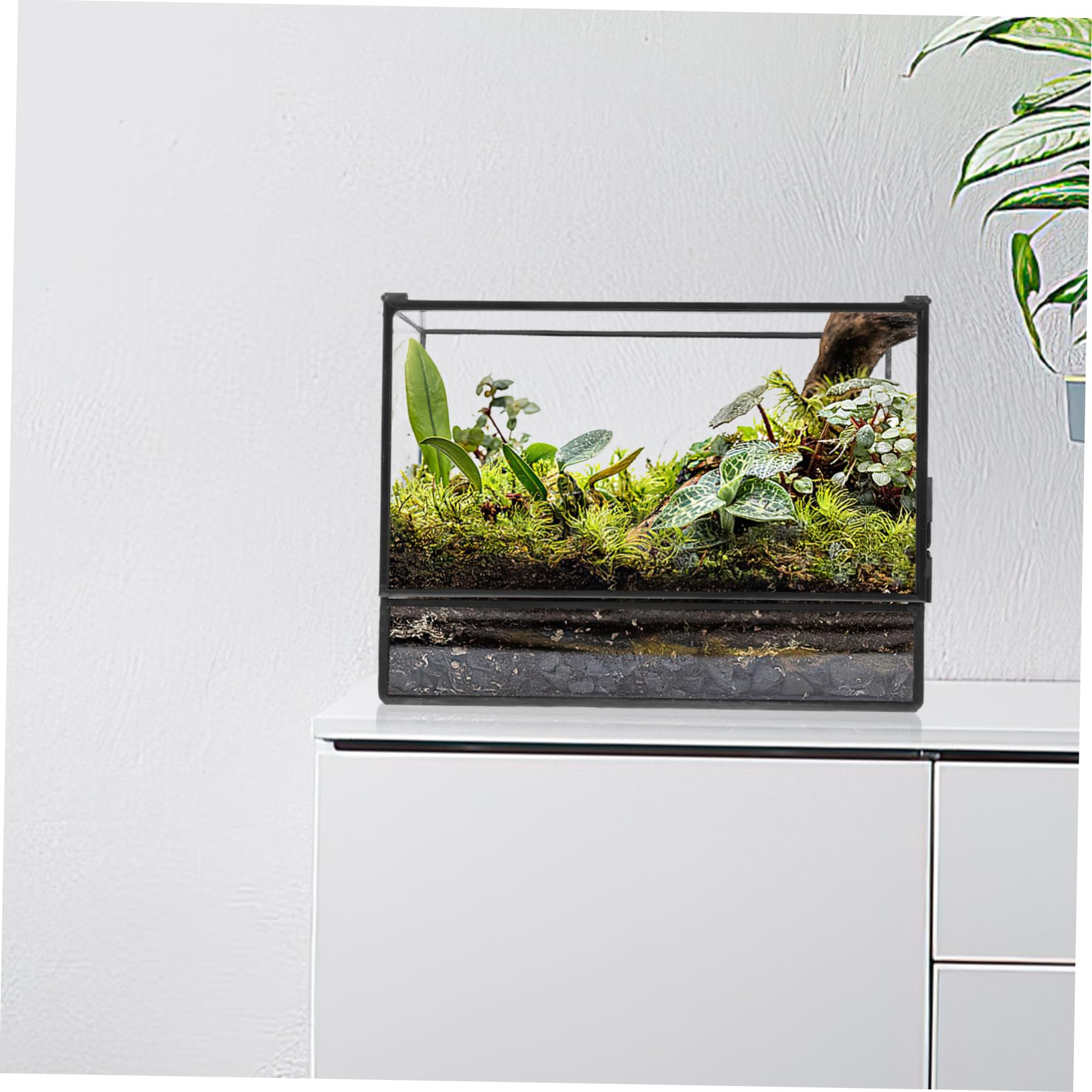 Terrarium in Vetro Geometrico per Piante, Decorazione Tavolo