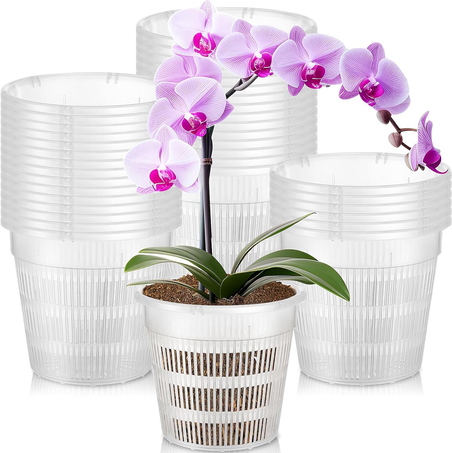 See full amazon price history chart for Orchid Pot 8 inch Orchid Pots with Holes 12 Pcs Clear Plastic Orchid Pots Slotted Orchid Pots for Repotting Clear Nursery Pots Net Pots Plastic Flower Plant Pot Indoor Outdoor (8nch, 12pcs) Orchid Pot 8 inch Orchid Pots with Holes 12 Pcs Clear Plastic Orchid Pots Slotted Orchid Pots for Repotting Clear Nursery Pots Net Pots Plastic Flower Plant Pot Indoor Outdoor (8nch, 12pcs) (B0CKPWS2P6) Amazon Price History, Amazon Price Tracker