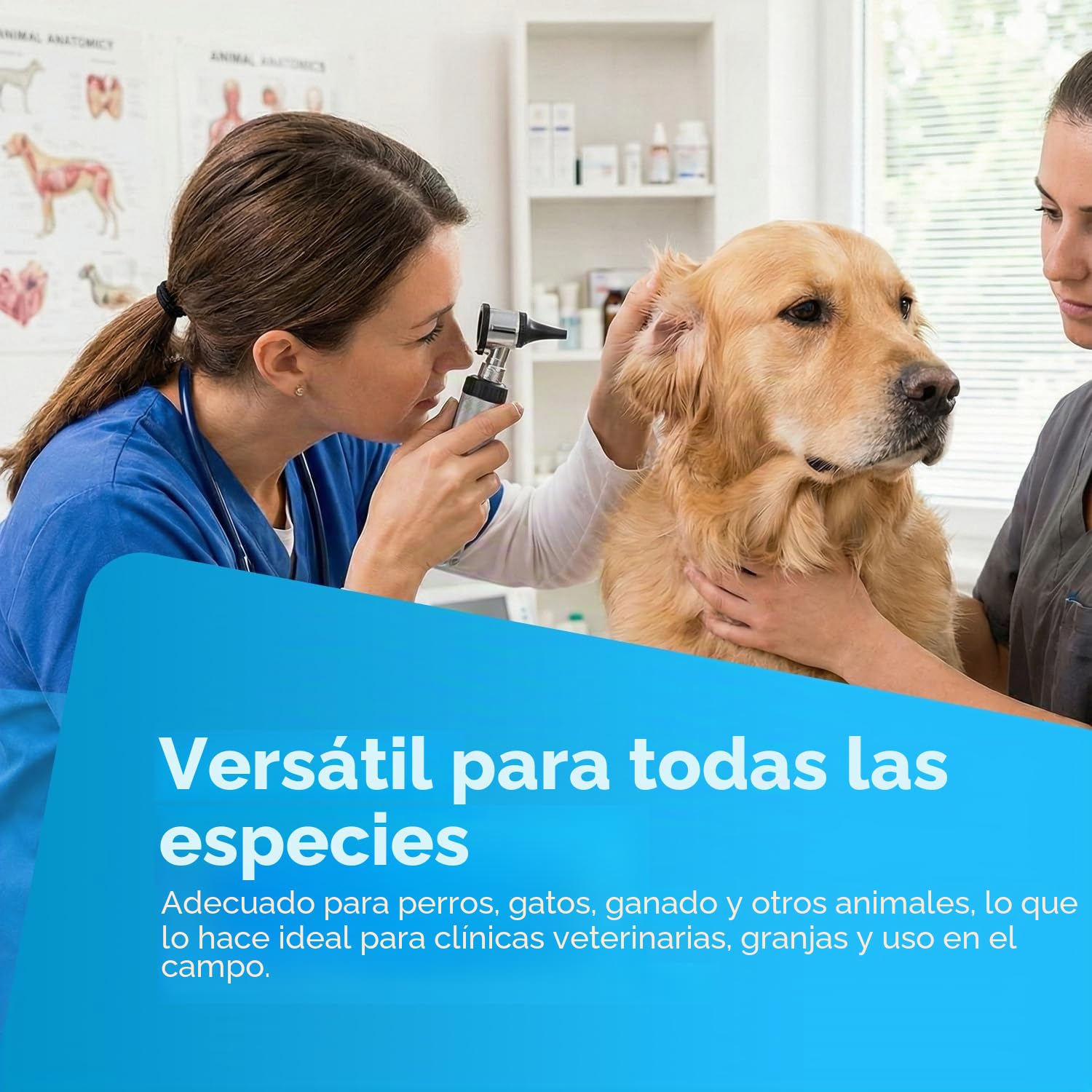 YNR Vet Examine - Otoscopio veterinario - Juego de espéculo para diagnóstico veterinario, kit completo de otoscopio, estuche de almacenamiento portátil, examen para perros, gatos, ganado y todas las