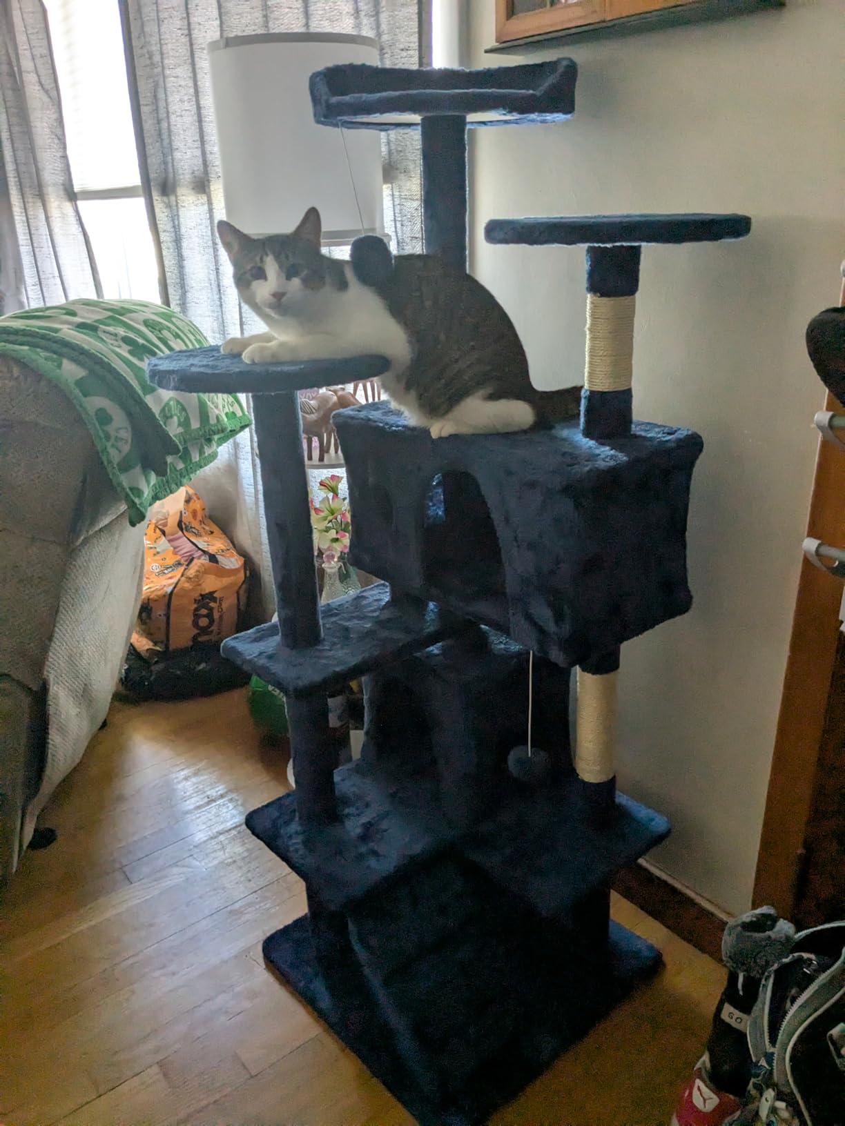 FDW Cat Tree 54in Cat Tower Multi-Level Durable Cat Scratching Post & Cozy Fun Cat Jumping Platform Space Saving Cat Condo Pet Play House for Indoor Cats,Dark Gray photo review