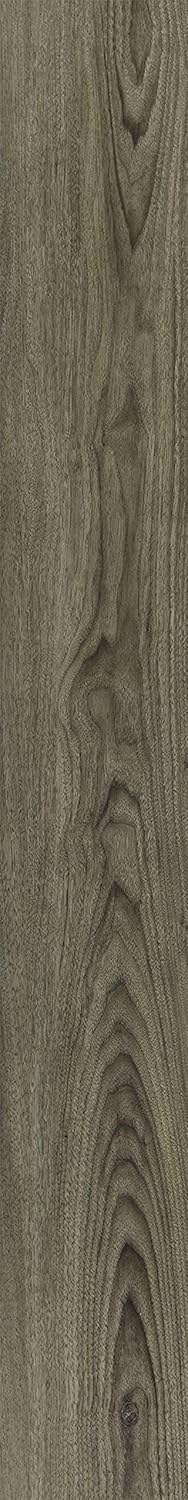 Shaw Floors 704SA05087 Awaken HD+ Accent Vinyl Flooring, Riverrock, 17 Square Feet