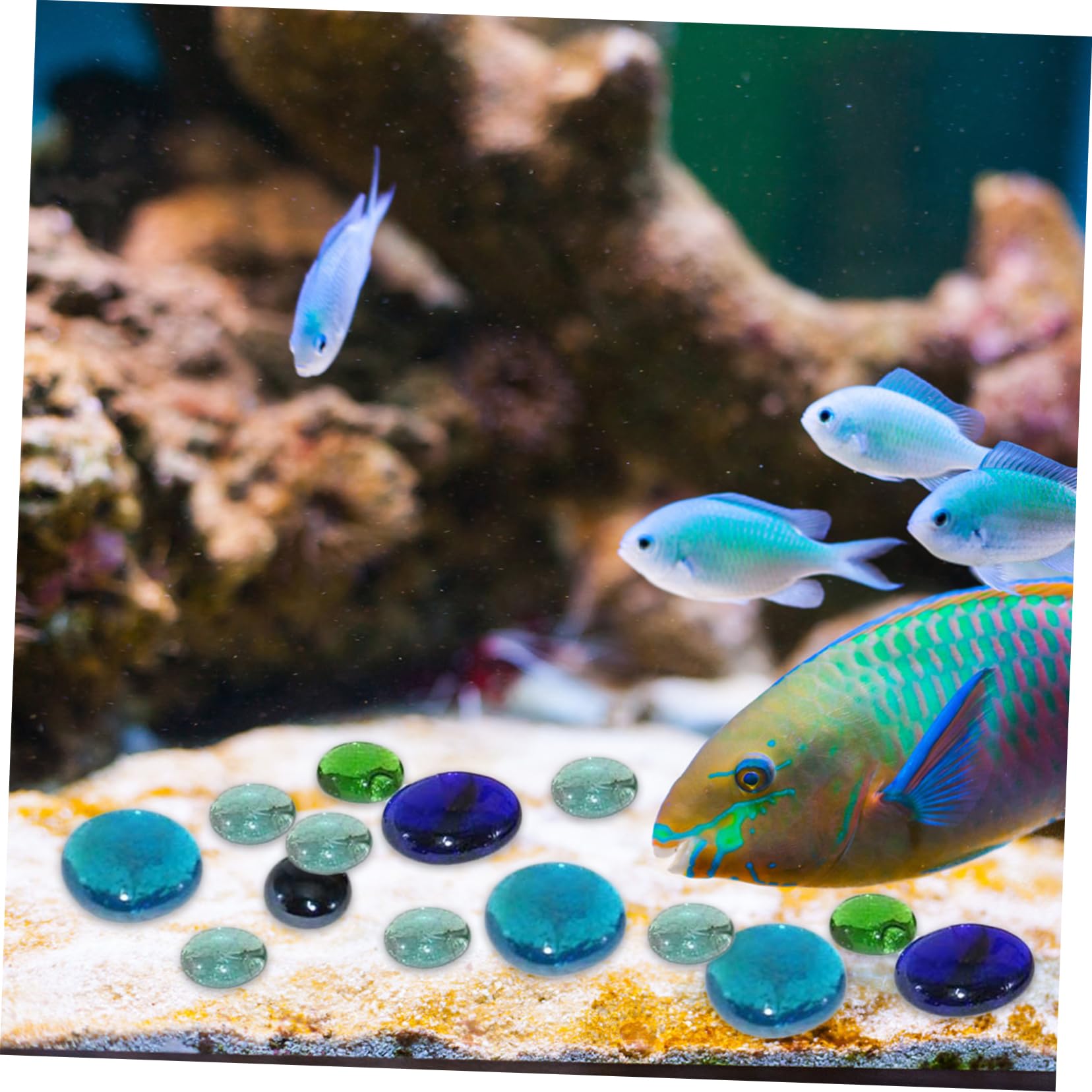Colored Rocks For Fish Tanks