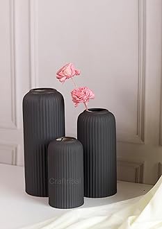 Craftribal's Modern Ceramic Flower Vase for Living Room, Flower Pots for Home Decoration, Home Decor, Line Vase (Set of 3PCS) Black