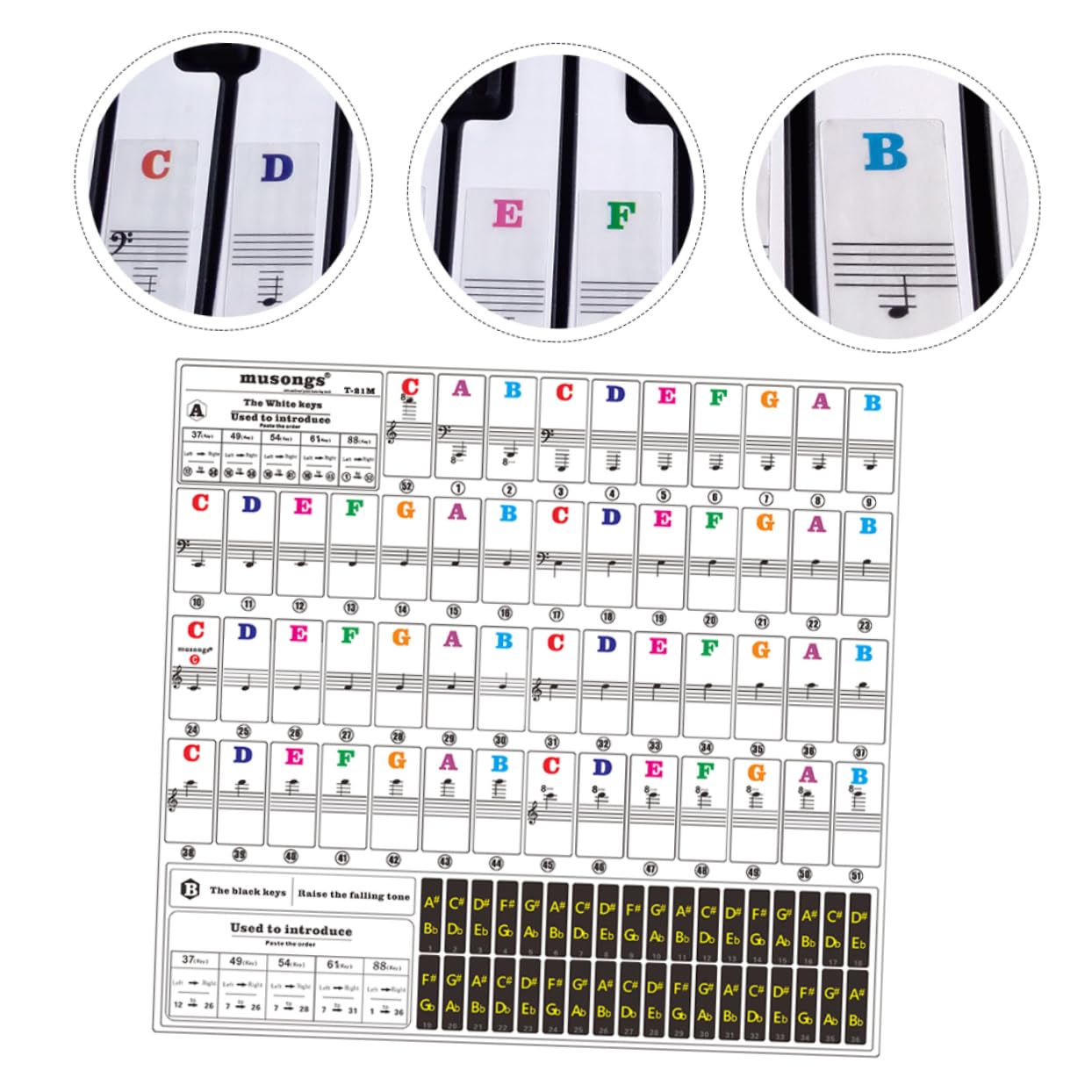 HEMOTON Piano Keyboard Stickers Thin Comfortable Easy to Install Remove for Piano Learning 1 Sheet