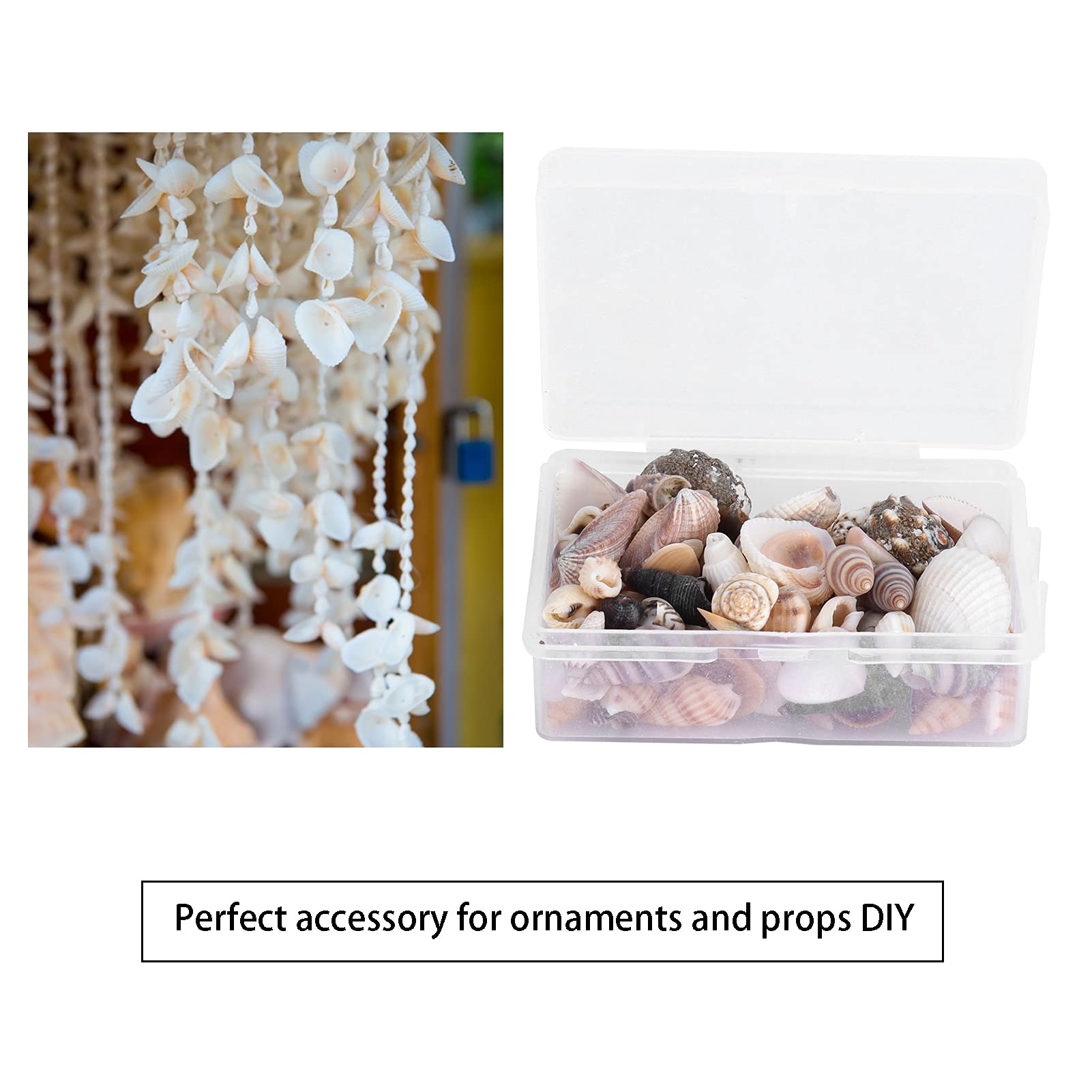 Colorful Sea Shells, Sea Snail Starfish Shell for Beach Theme Party, Fish Tank, DIY Crafts, Wedding Decor