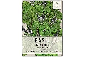 Holy Basil Seeds: The Path to Tranquility in Every Garden
