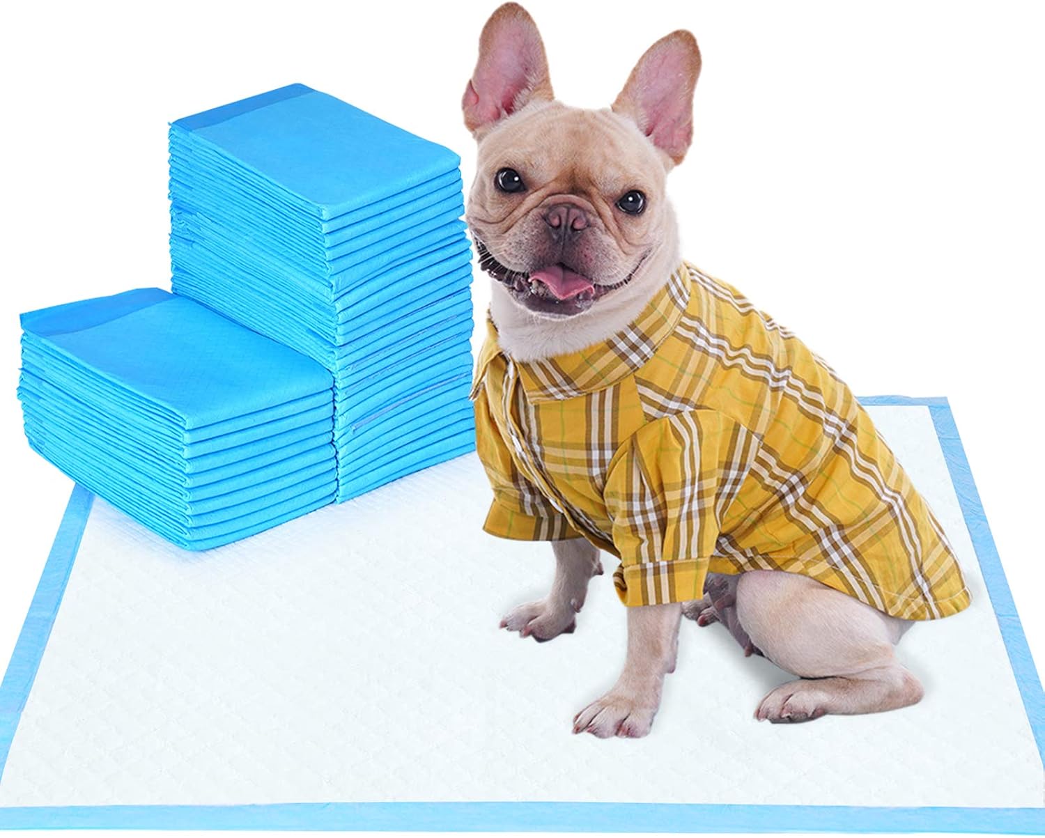WISPET - Puppy Pads and Dog Pee Pads 22"x22" -100 Count - Super Absorbent & Leak-Free Potty Pads for Dogs and Pet Training Pads