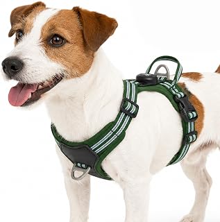 Anti Zug Hundegeschirr mit AirTag Halter, Anti Zieh Geschirr Hund, Verstellbare Reflektierend Brustgeschirr mit Griff, Dog Harness für Kleine Mittelgroße Große Hunde (Waldgrün, S)