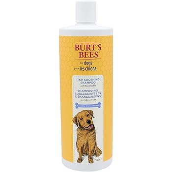 itch soothing shampoo for dogs