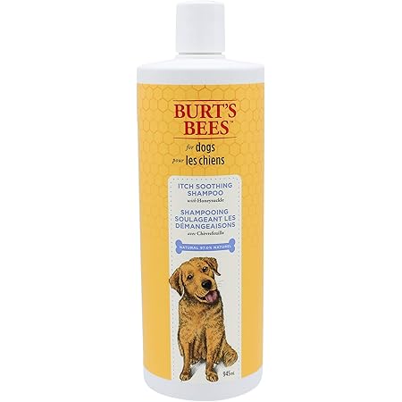 Amazon Com Burt S Bees For Dogs Natural Itch Soothing Shampoo With Honeysuckle Anti Itch Dog Shampoo 32 Ounces Amazon Com Burt S Bees For Dogs Natural Itch Soothing Shampoo With Honeysuckle Anti Itch Dog Shampoo 32 Ounces