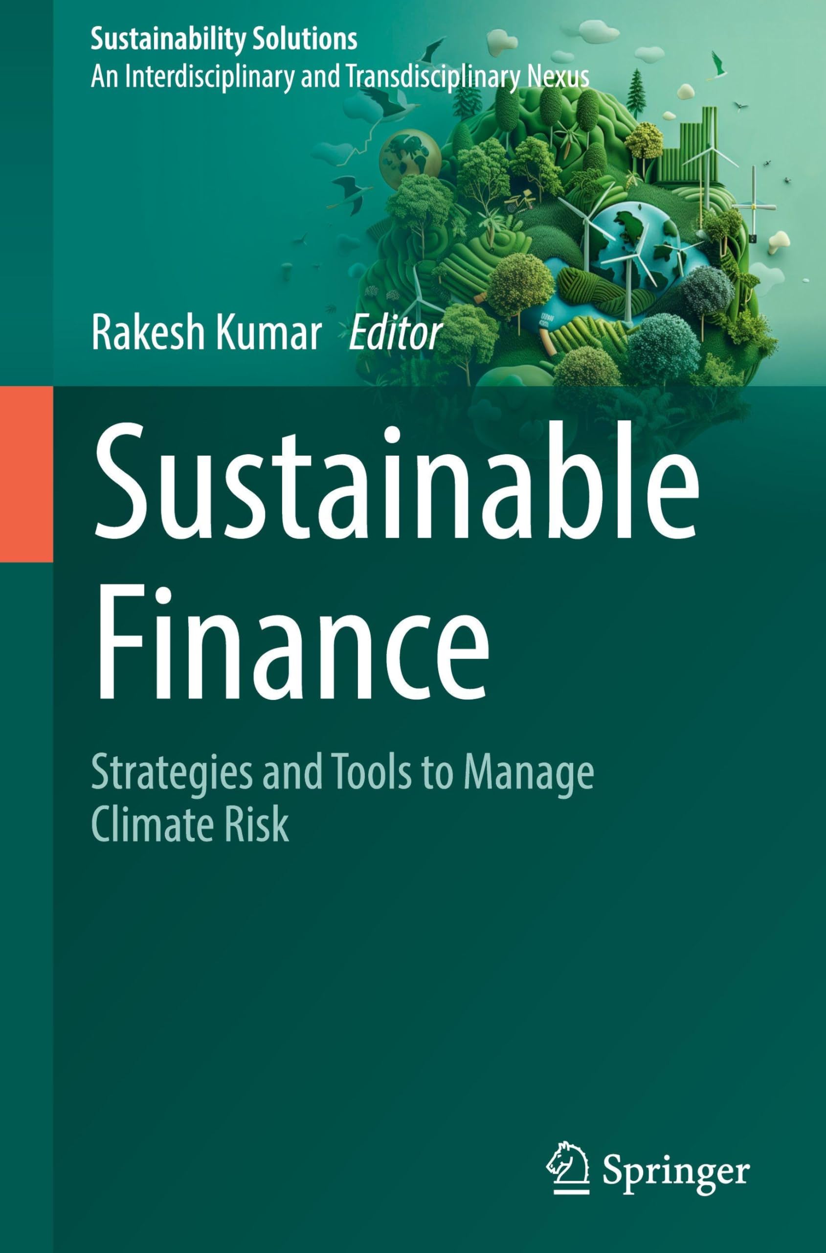 Sustainable Finance: Strategies and Tools to Manage Climate Risk (Sustainability Solutions, Band 3)