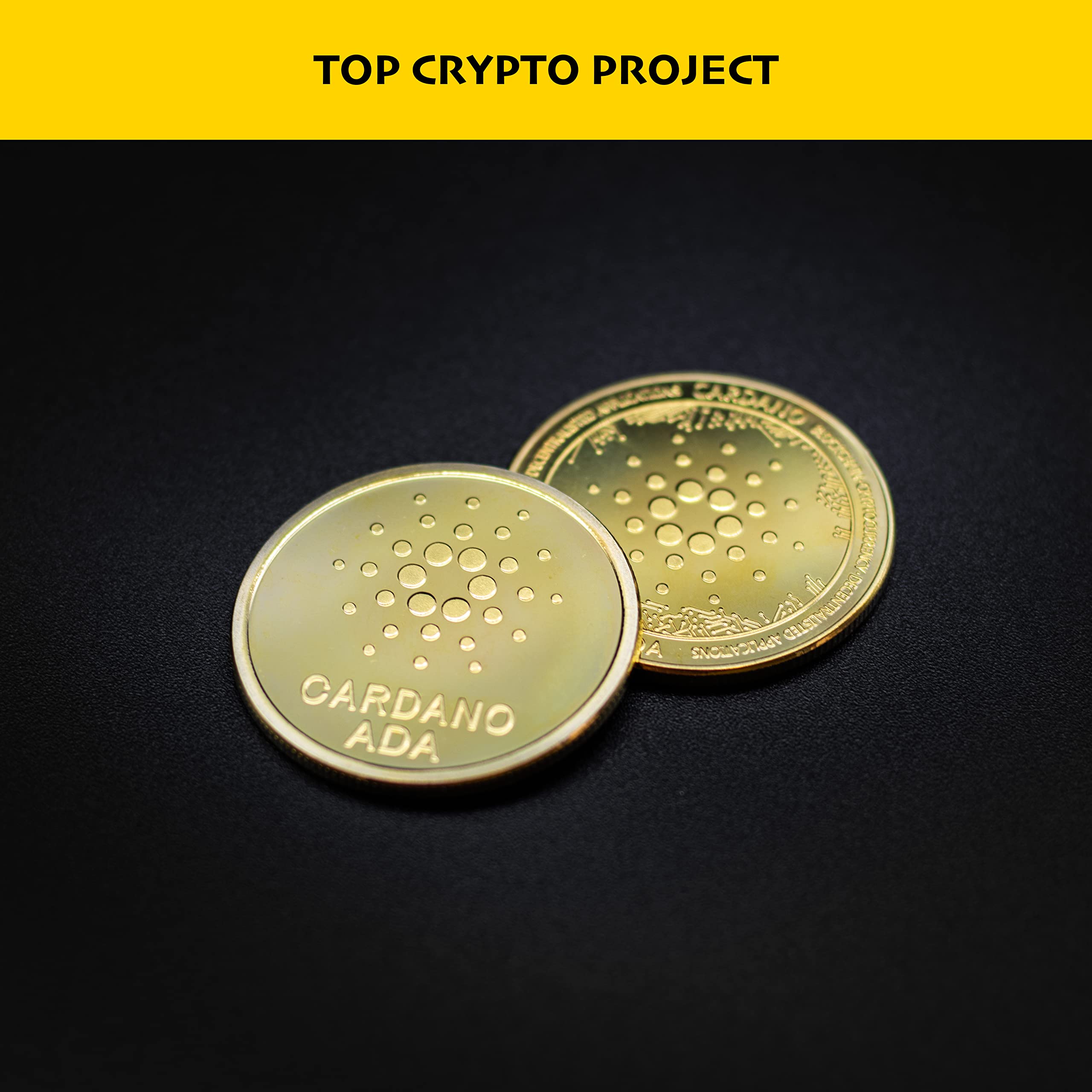 P&F Cardano ADA Physical Coin with Display Case Collectible in Gold with  Exclusive Stickers: Amazon.de: Toys