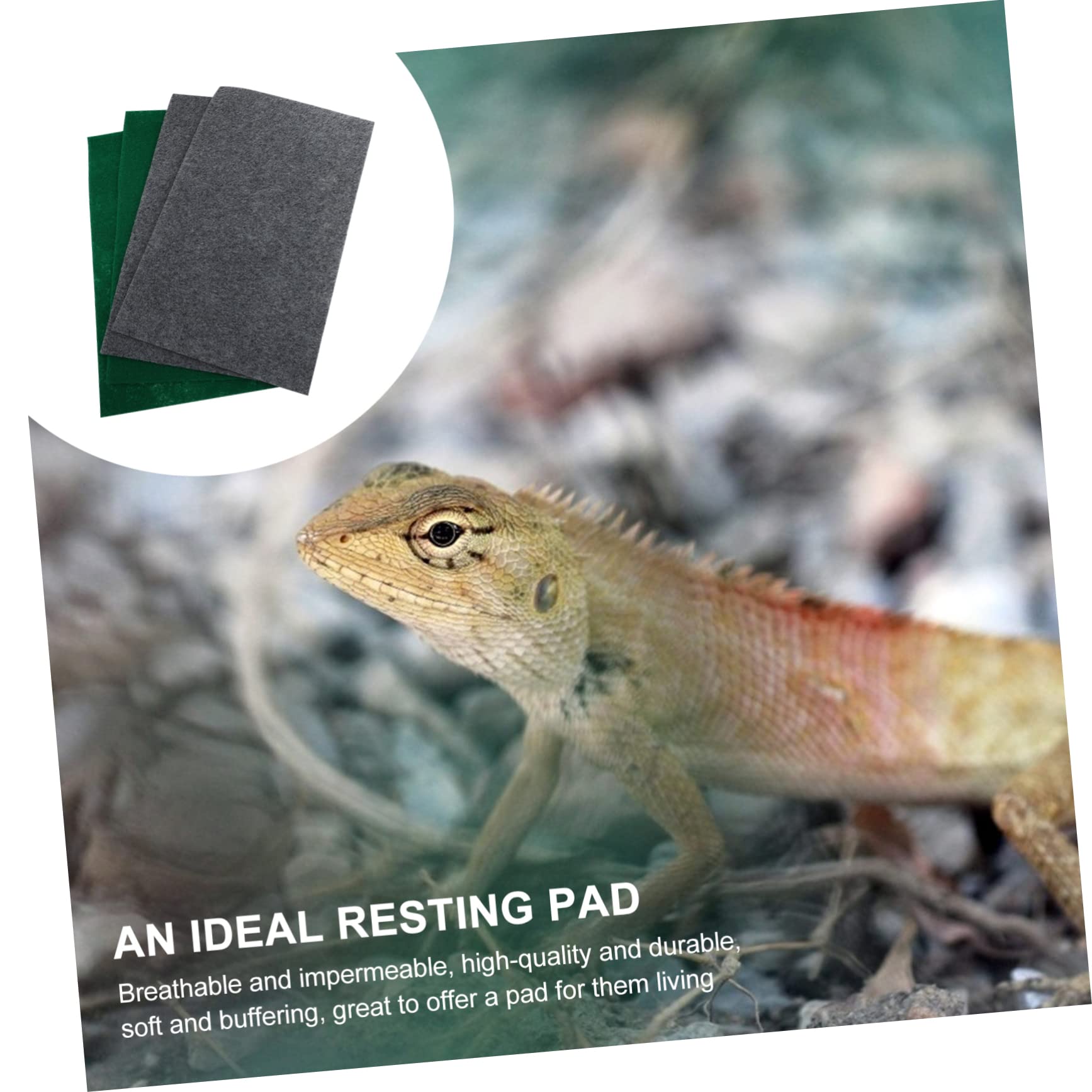 Hohopeti 8stücke Reptilien Teppich Absorbierendes Substrat Für Terrarium Geeignet Für Geckos Schildkröten Und Andere Reptilien Und rutschfest Und Pflegeleicht