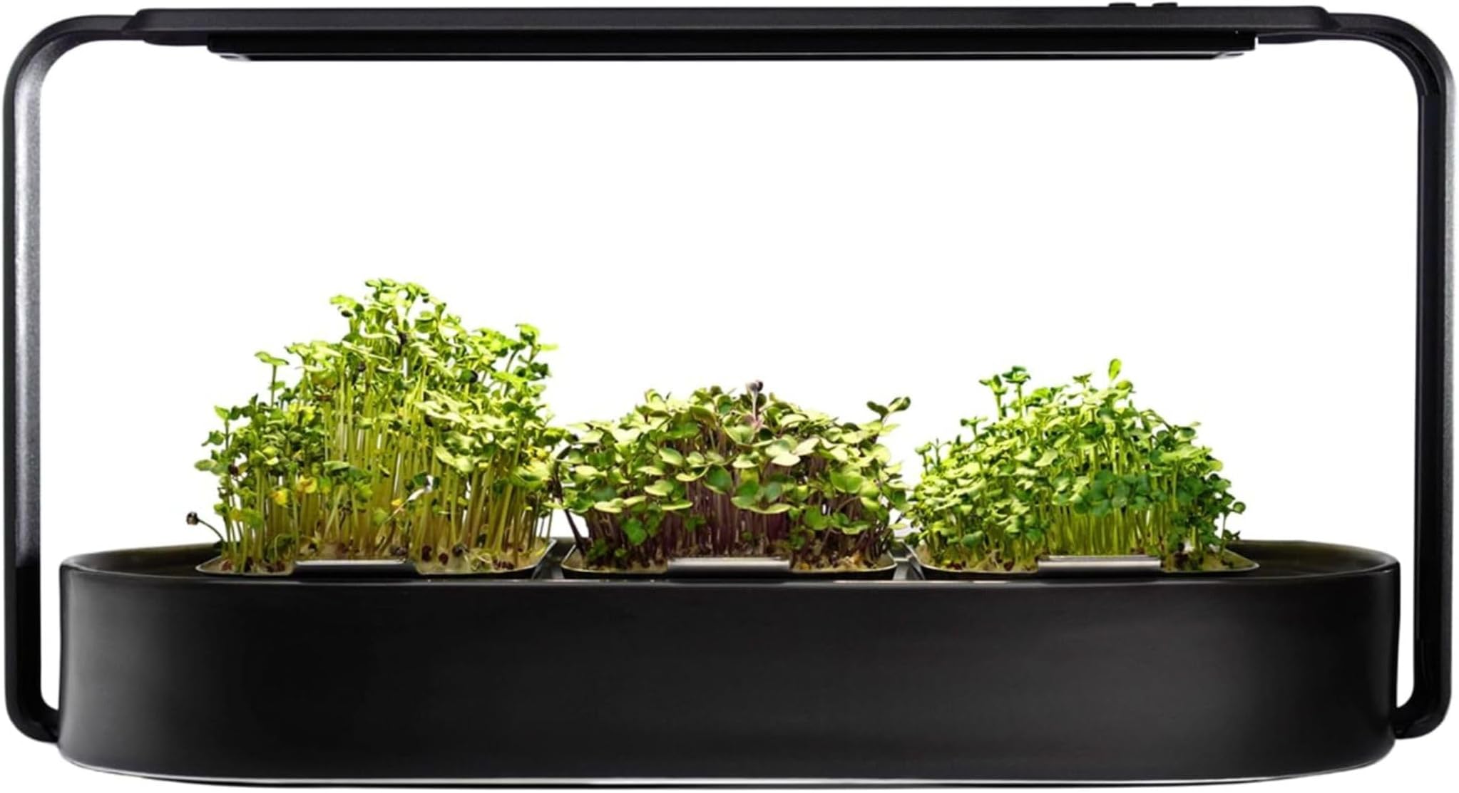 Microgreens Growing Kit - Organic Superfood Sprouting Seed Pads (3) | Auto 4-Stage LED Grow Lights & Hydroponic Watering System | Chic Steel Frame & Ceramic Bowl, Plastic-Free [Black]
