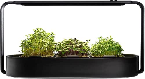 Microgreens Growing Kit - Organic Superfood Sprouting Seed Pads (3)