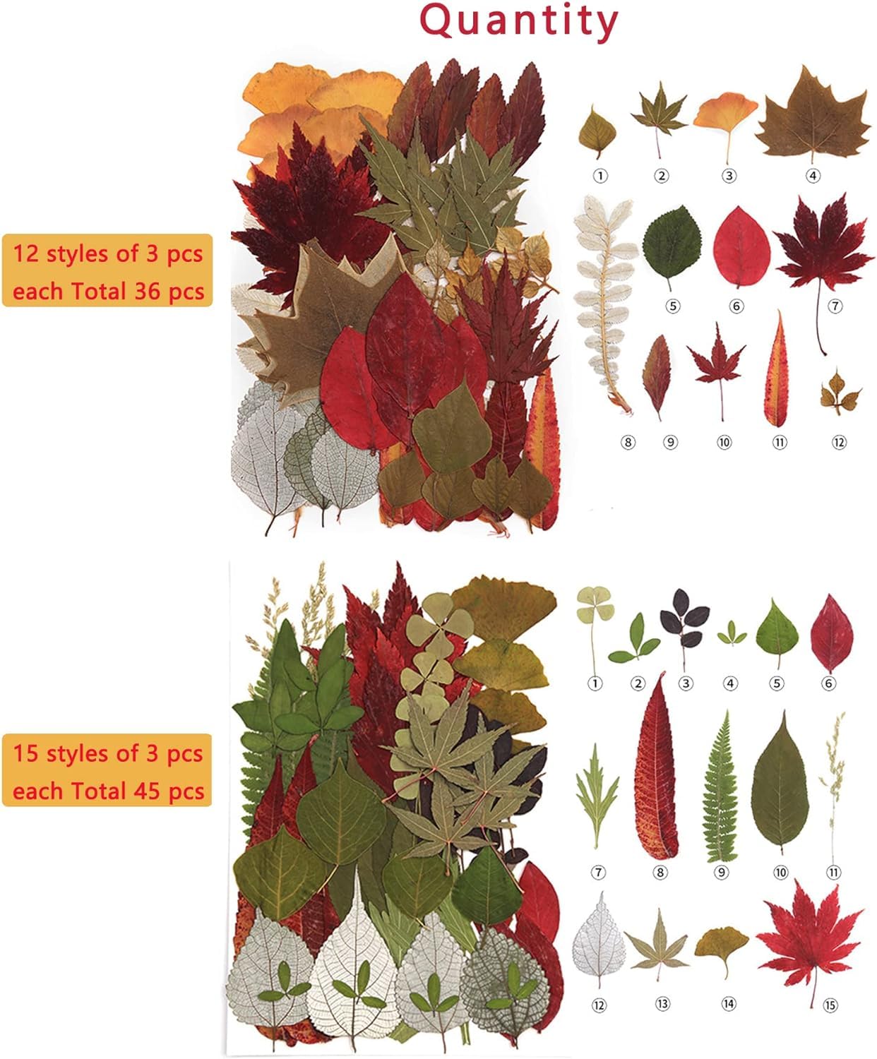 129 foglie secche, fiori secchi, verdi, pressate naturali, per candele, resina, gioielli, sapone, cornici per foto, ciondoli