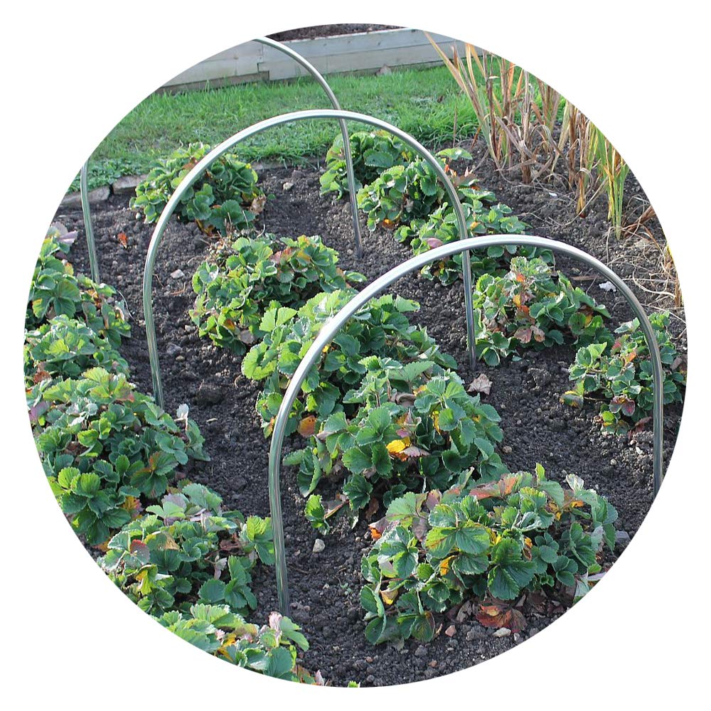 Gardening Naturally Large High Top Hoop Tunnel kits Different Lengths & Covers Available (4m Bird Netting)