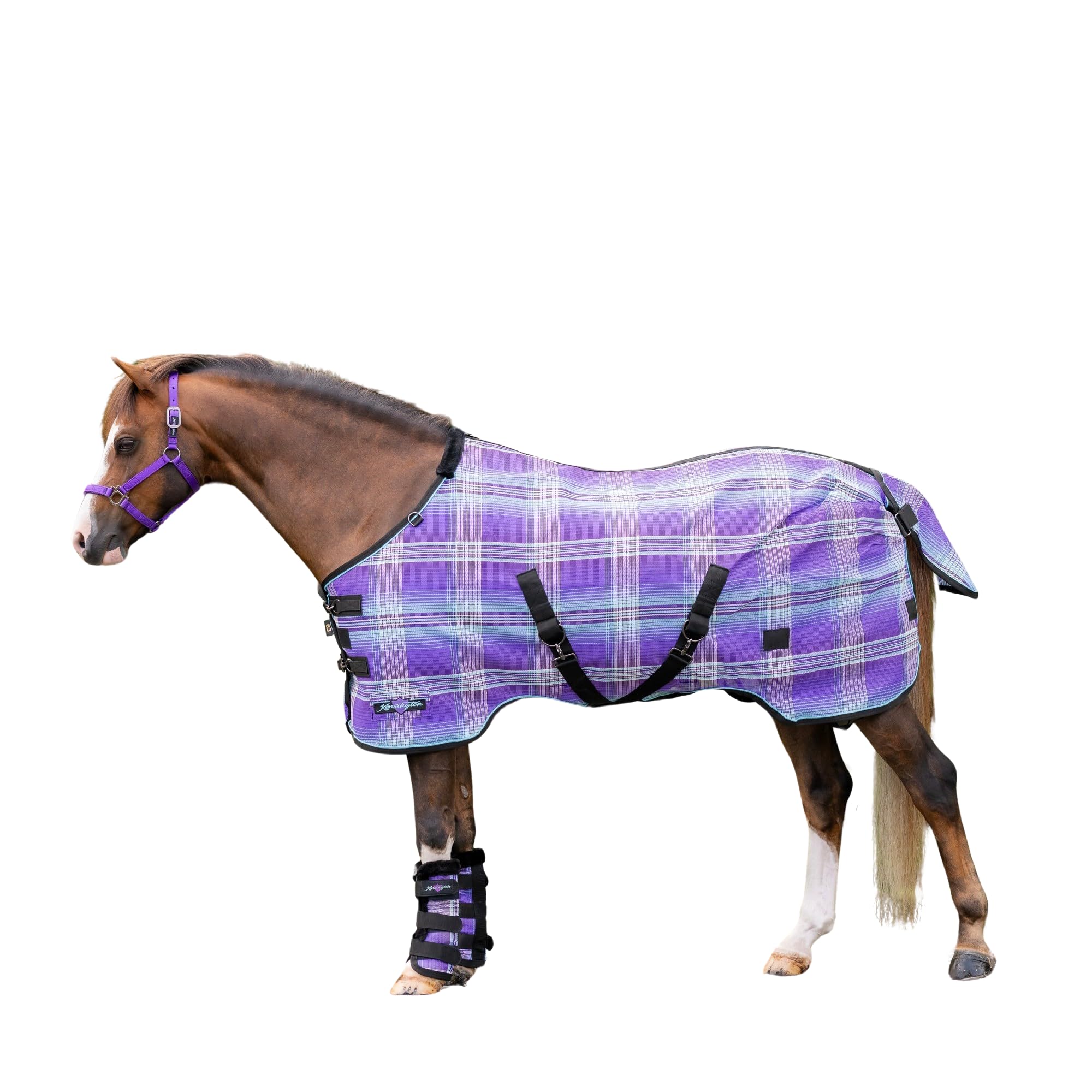Drap de protection pour poney 152 cm Kensington SureFit lavande anti-poussière au box