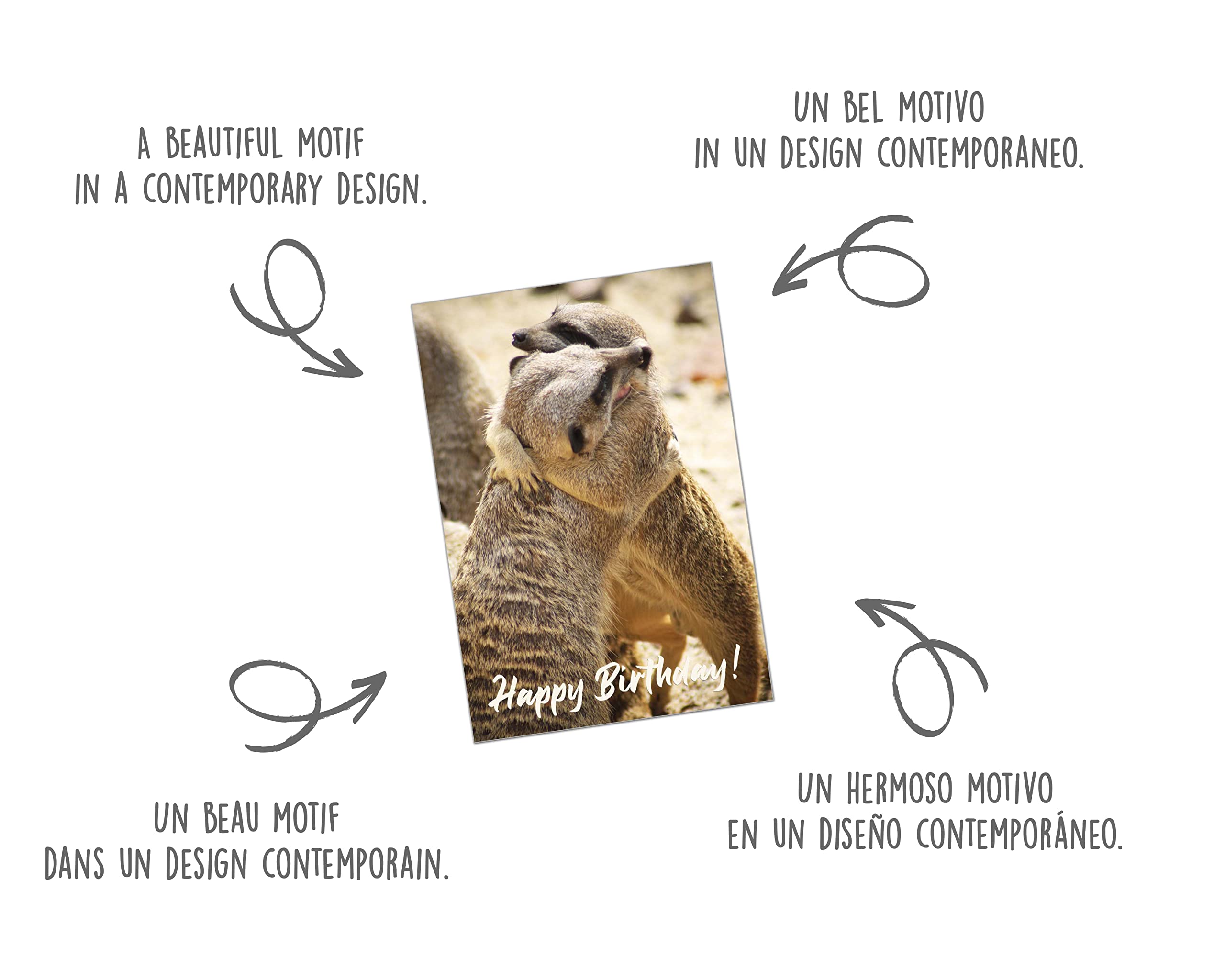 Biglietto Di Auguri Compleanno Con Suricato – Edition Seidel – Design Originale Con Busta, Ideale Per Uomo E Donna