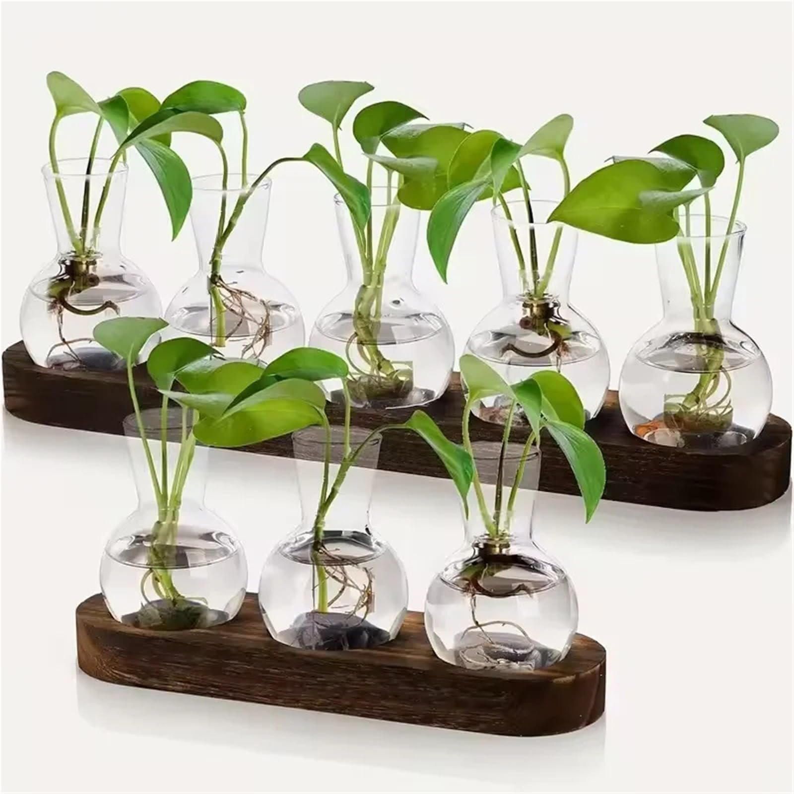 Vase Hydroponique Verre Terrarium en Verre for Plantes avec Plateau Bois – for Vase hydroponique de Propagation intérieur, décoration Bureau, Maison(Size A)