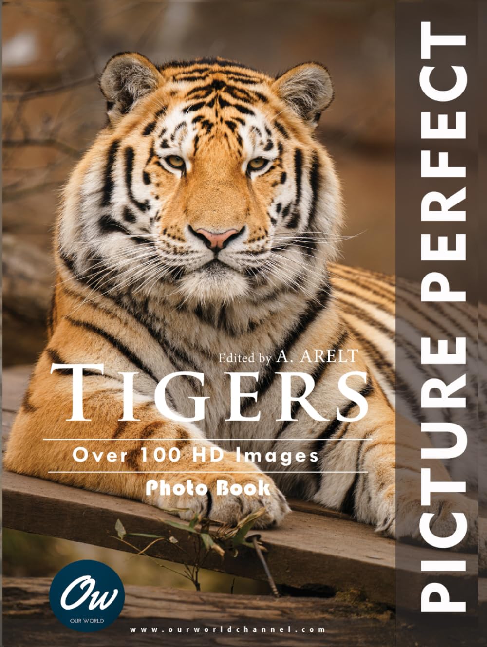 Tigers: Picture Perfect Photo Book