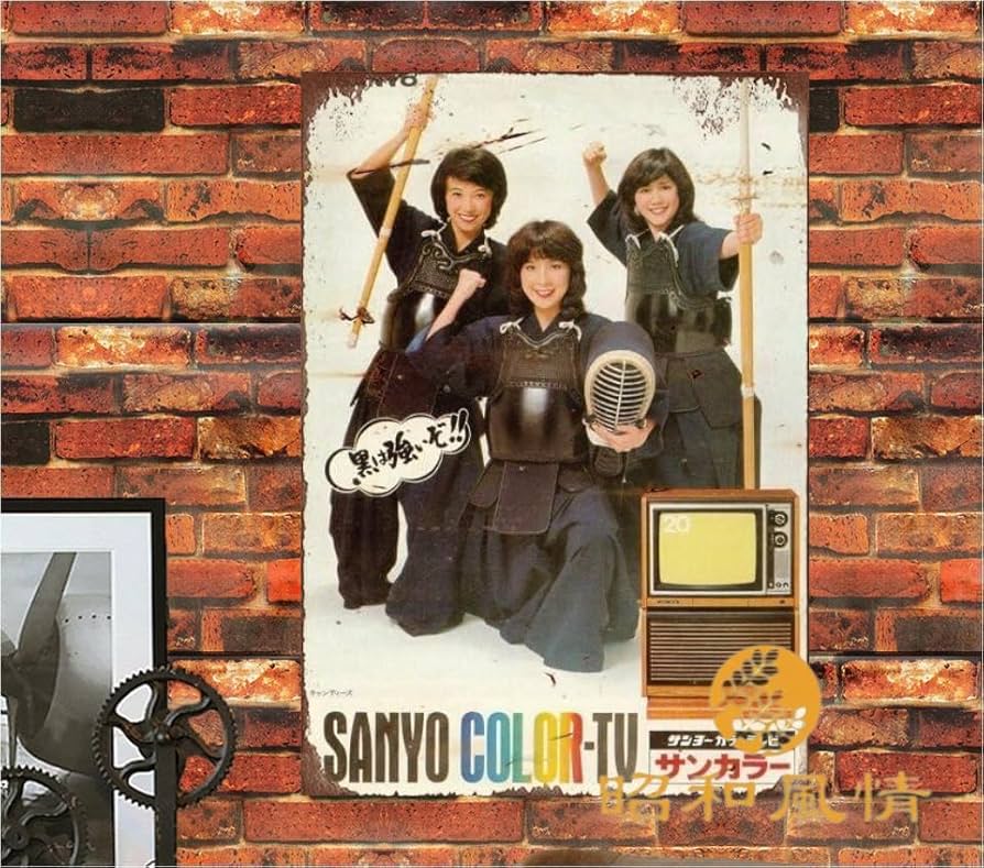 Amazon.co.jp: 【昭和の風情】伊藤蘭 広告 昭和レトロブリキ看板